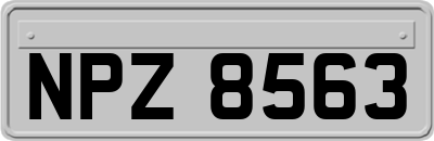 NPZ8563