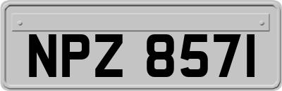 NPZ8571