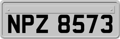 NPZ8573