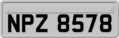 NPZ8578
