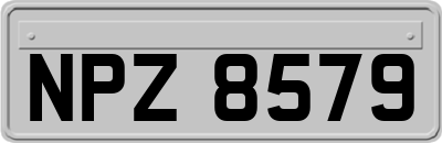 NPZ8579