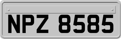 NPZ8585