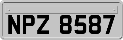 NPZ8587