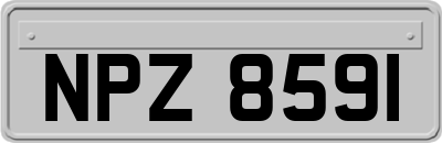 NPZ8591