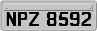 NPZ8592