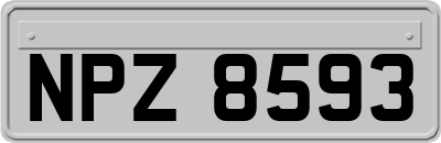 NPZ8593