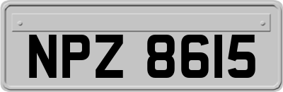 NPZ8615