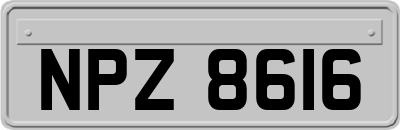 NPZ8616