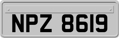 NPZ8619