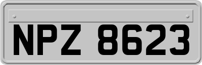 NPZ8623