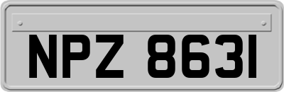 NPZ8631