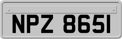 NPZ8651