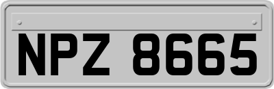 NPZ8665