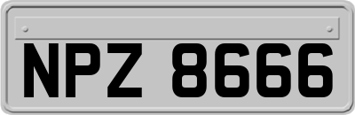 NPZ8666