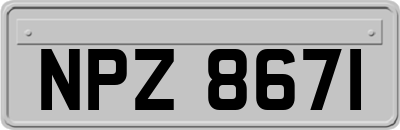 NPZ8671