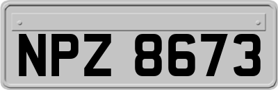 NPZ8673