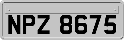 NPZ8675