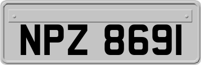 NPZ8691
