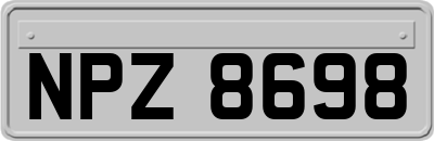 NPZ8698