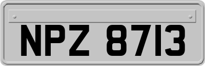NPZ8713