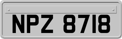NPZ8718