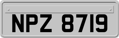 NPZ8719