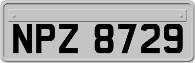 NPZ8729