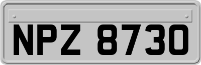 NPZ8730