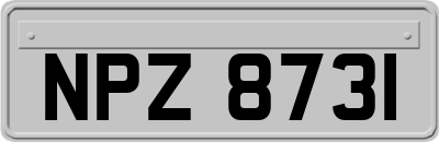 NPZ8731