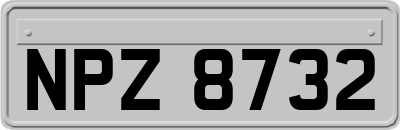 NPZ8732