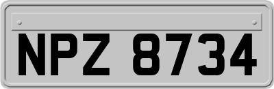 NPZ8734
