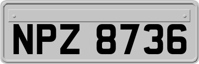 NPZ8736