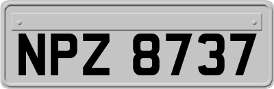 NPZ8737