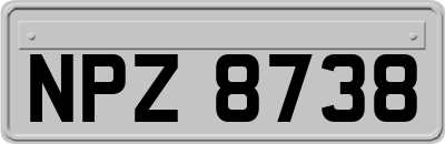 NPZ8738