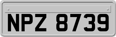 NPZ8739