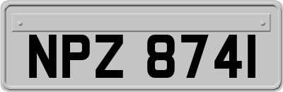 NPZ8741