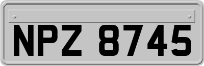 NPZ8745