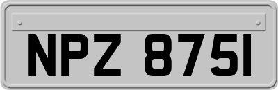NPZ8751