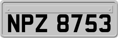 NPZ8753