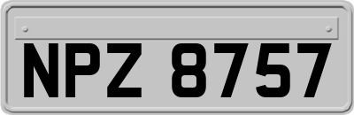 NPZ8757