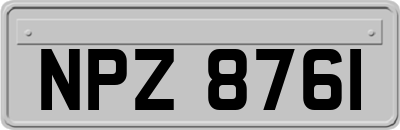 NPZ8761