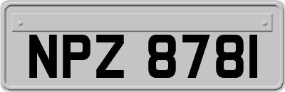 NPZ8781