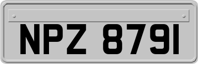 NPZ8791