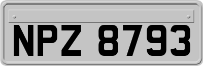 NPZ8793
