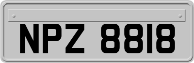NPZ8818
