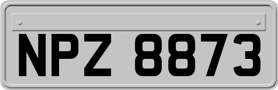 NPZ8873