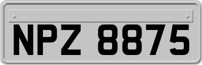 NPZ8875