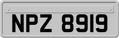 NPZ8919