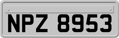 NPZ8953