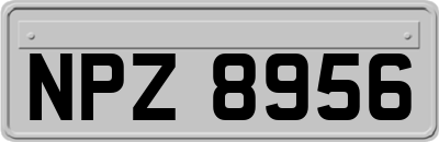 NPZ8956